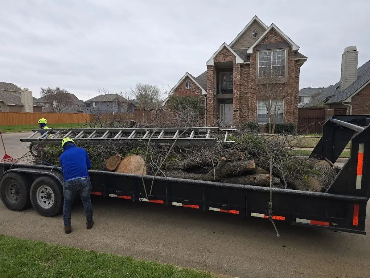 Expert Crown Reduction with proper safety equipment in Breaux Bridge